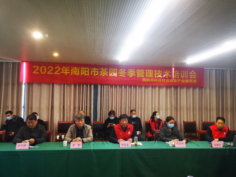 关于南阳市生态茶园建设暨茶园冬季管理技术培训会在桐柏县举办的消息