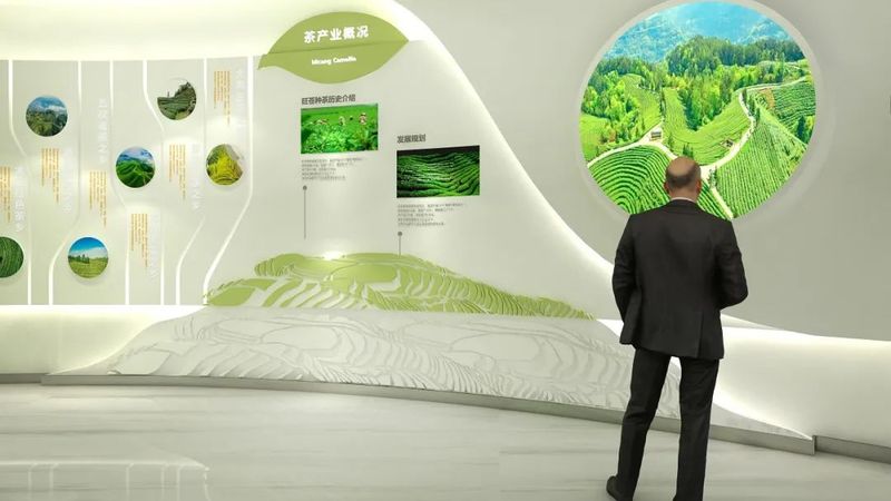 关于是时候认识一下旺苍县茶叶科创中心了的相关内容(4)