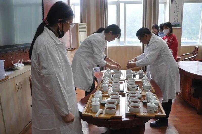 有关于紫阳县2022年首届评茶员技能竞赛圆满落幕的信息(2)