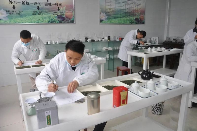 有关于紫阳县2022年首届评茶员技能竞赛圆满落幕的信息