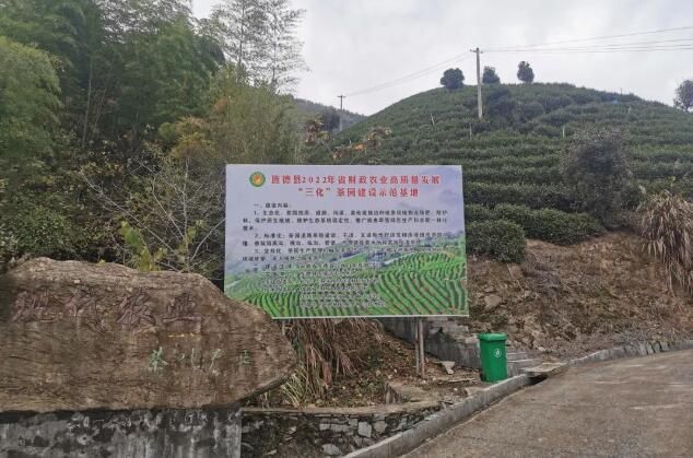 有关于旌德:“三化”引领茶产业高质量发展的新闻(2)