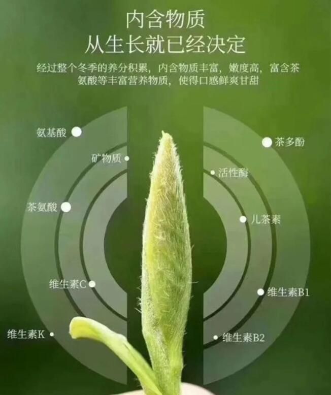 关于卓越品质定心绿茶,邀您品饮鲜嫩春意的相关信息