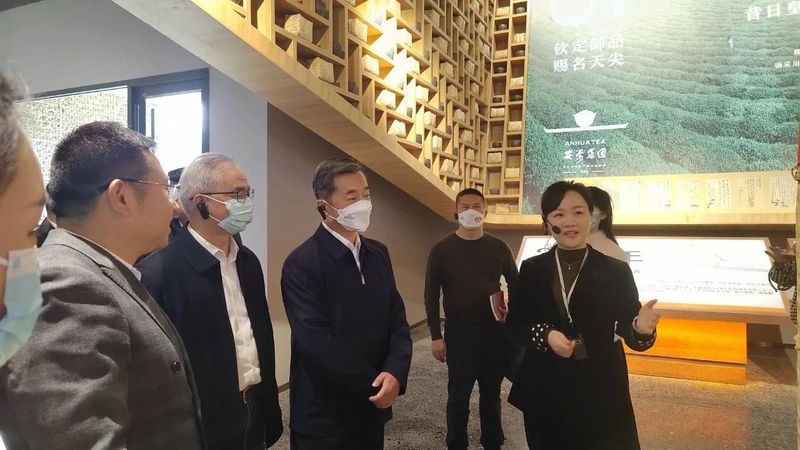 关于山乡巨变,茶旅融合这样破局!的内容(7)