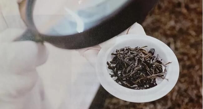 有关于云南普洱茶日销往事:一个商标引发的“战争”的内容(6)