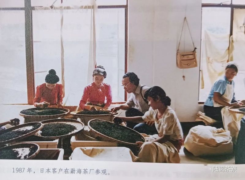 有关于云南普洱茶日销往事:一个商标引发的“战争”的内容(8)
