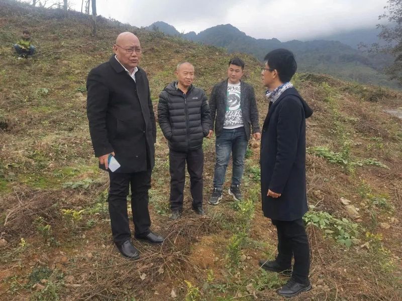 有关于人文始祖颛顼帝 严道茶马丝绸路四川省茶叶行业协会赴南路边茶重镇——荥经县考察调研茶产业发展的相关信息(9)