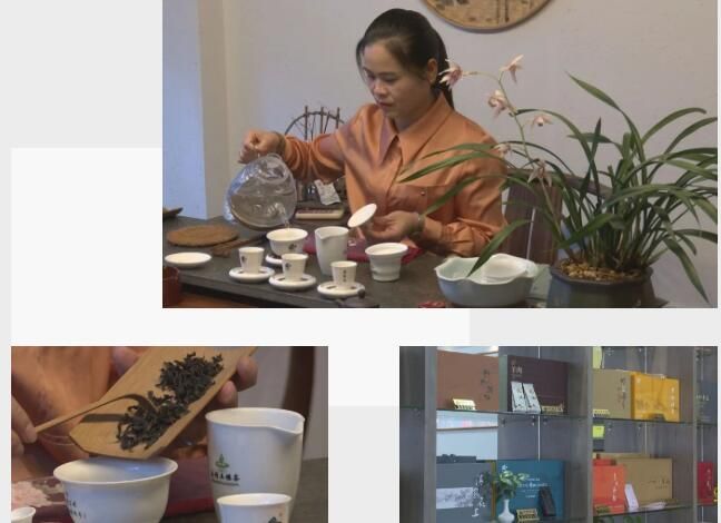 关于南坑镇:“小茶叶”变身“大产业”!的消息(6)