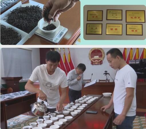 关于南坑镇:“小茶叶”变身“大产业”!的消息(11)