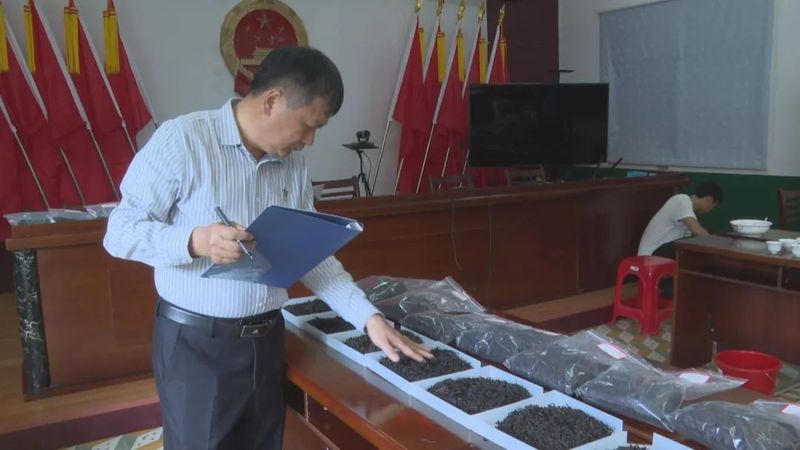 关于南坑镇:“小茶叶”变身“大产业”!的消息(9)