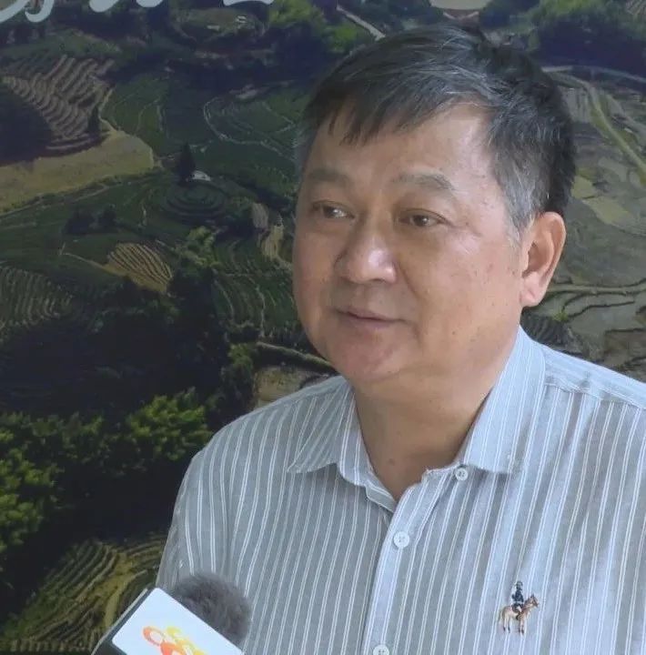 关于南坑镇:“小茶叶”变身“大产业”!的消息(12)