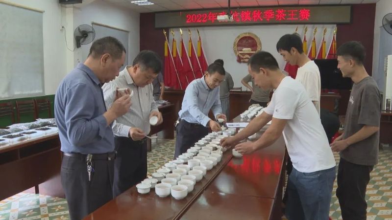 关于南坑镇:“小茶叶”变身“大产业”!的消息(10)