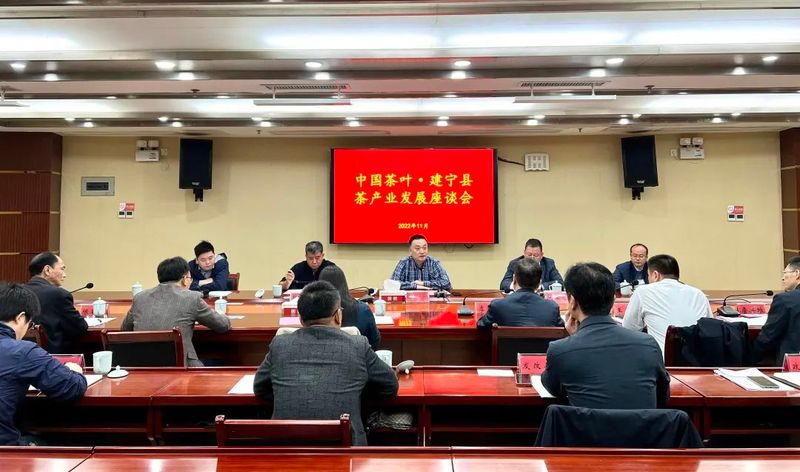 有关于中国茶叶股份有限公司领导到建宁县调研茶产业发展情况的信息