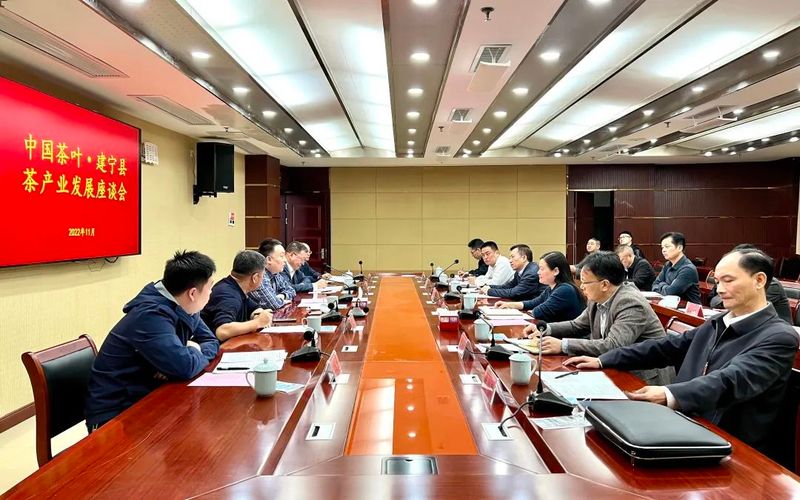 有关于中国茶叶股份有限公司领导到建宁县调研茶产业发展情况的信息(1)