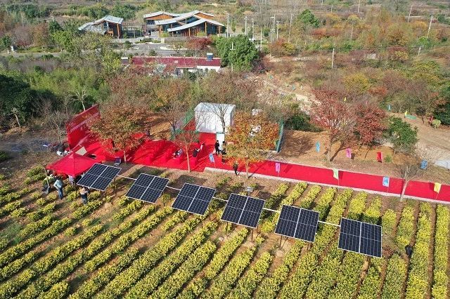 有关于江苏首个“茶光互补”每年光伏发电1万度助力茶企生产的信息