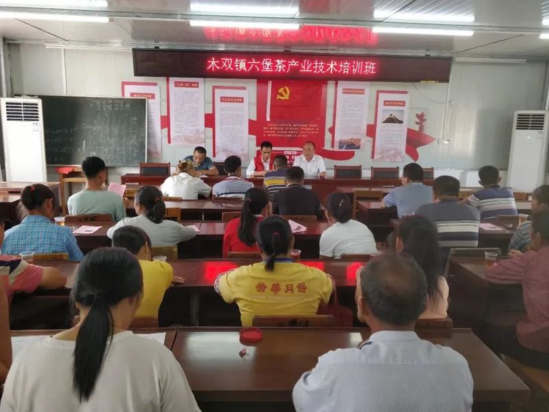 有关于做大做强“广东进入广西的第一杯六堡茶”——苍梧县木双镇依托“两江四镇十联盟”粤桂合作平台振兴东安江“茶船古道”六堡(1)