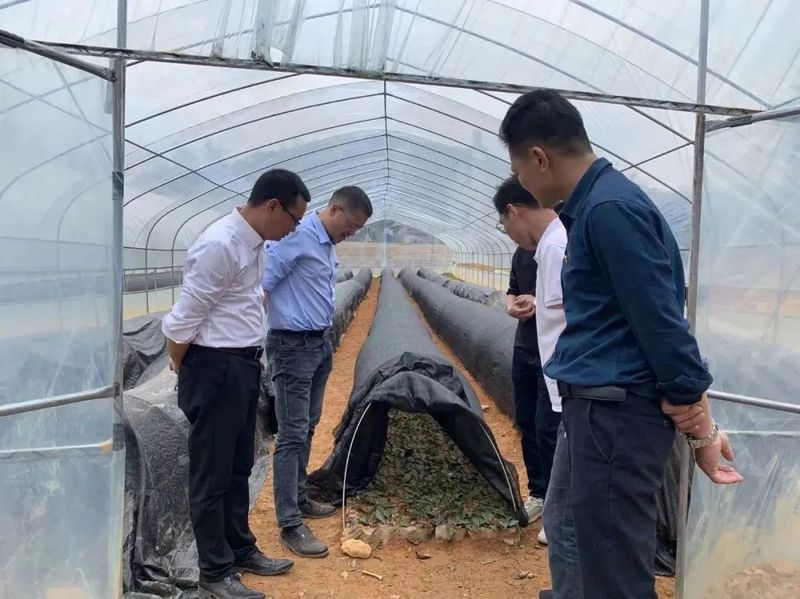 有关于做大做强“广东进入广西的第一杯六堡茶”——苍梧县木双镇依托“两江四镇十联盟”粤桂合作平台振兴东安江“茶船古道”六堡(3)