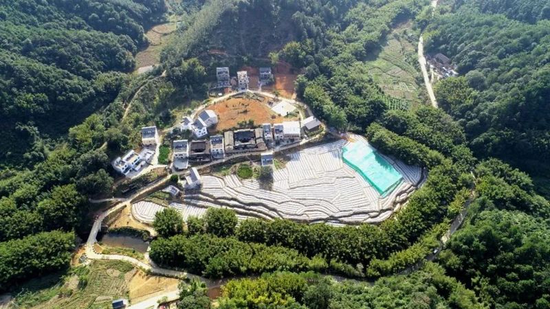 有关于做大做强“广东进入广西的第一杯六堡茶”——苍梧县木双镇依托“两江四镇十联盟”粤桂合作平台振兴东安江“茶船古道”六堡(6)