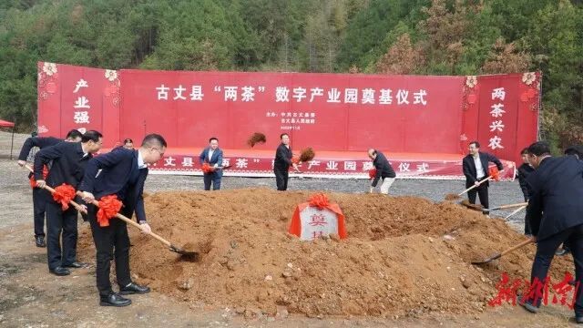 关于古丈县“两茶”数字产业园奠基的信息