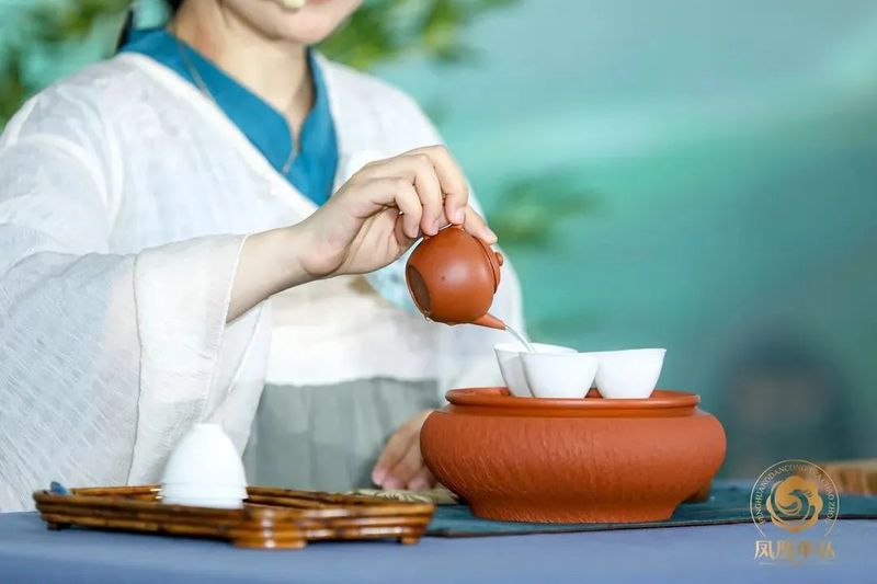 有关于“天池茶农杯”第五届国际工夫茶冲泡大赛决赛名单公布!的相关内容(5)