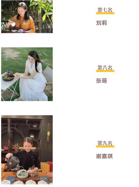 有关于“天池茶农杯”第五届国际工夫茶冲泡大赛决赛名单公布!的相关内容(9)
