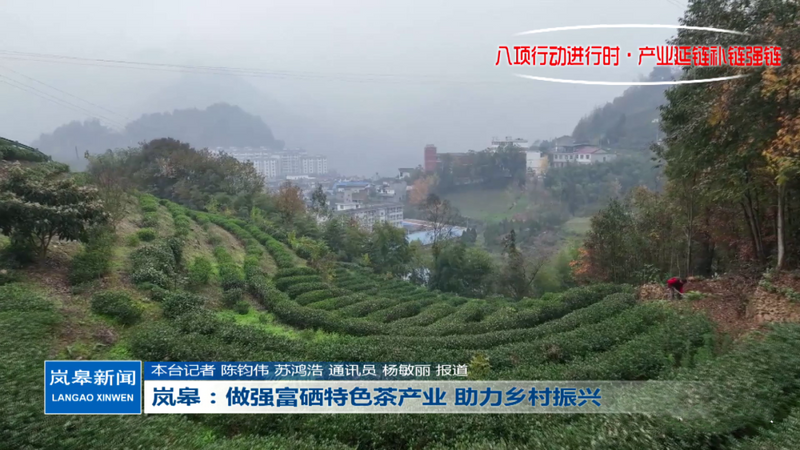 有关于岚皋县:做强富硒特色茶产业 助力乡村振兴的内容