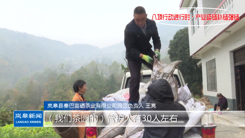 有关于岚皋县:做强富硒特色茶产业 助力乡村振兴的内容(3)