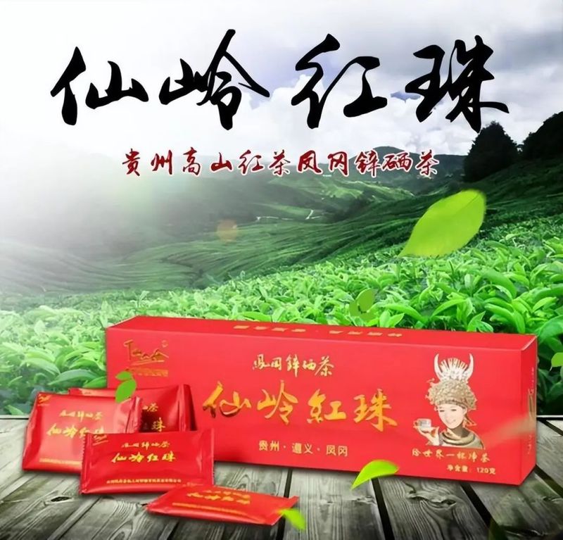 关于走进遵义东大门凤冈仙人岭 探寻锌硒茶神秘诞生地的信息(5)