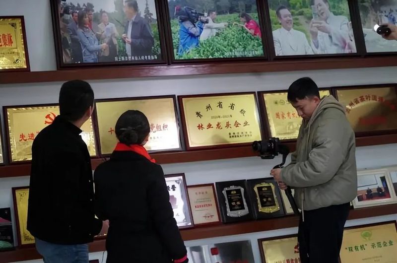 关于走进遵义东大门凤冈仙人岭 探寻锌硒茶神秘诞生地的信息(6)