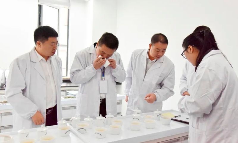 有关于“政和白茶·健康中国行”源产地品鉴会暨政和白茶北京茶王赛初赛顺利举行的新闻(12)