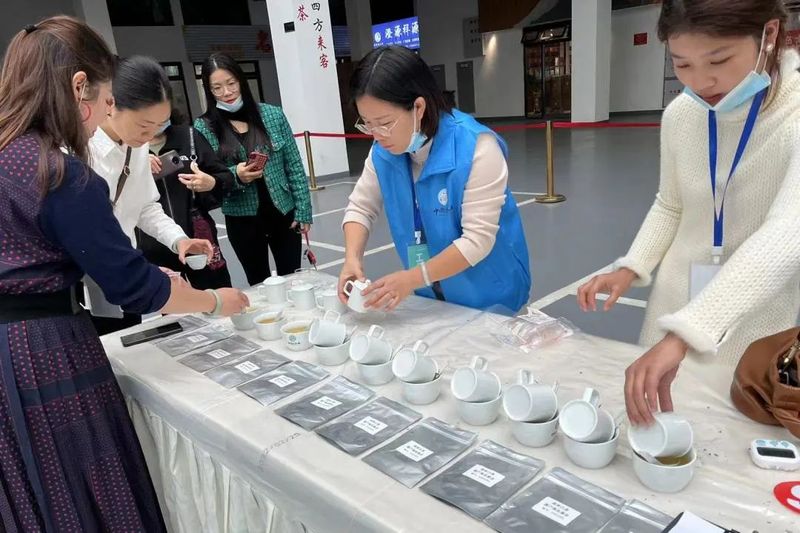 有关于“政和白茶·健康中国行”源产地品鉴会暨政和白茶北京茶王赛初赛顺利举行的新闻(9)