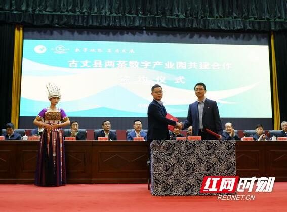 关于2022年湖南茶业科技创新论坛在古丈县开幕的资讯(1)