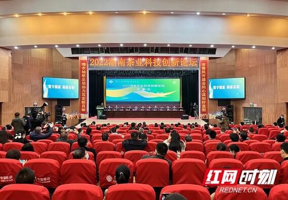 关于2022年湖南茶业科技创新论坛在古丈县开幕的资讯