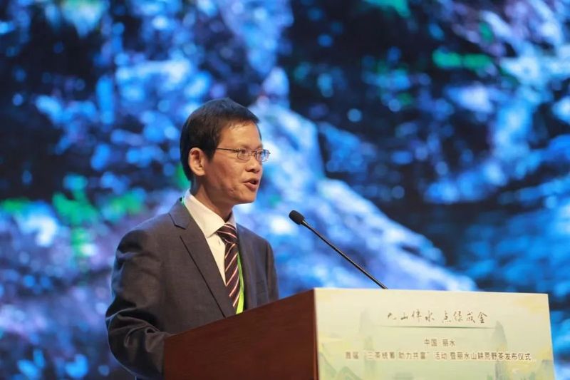 关于中国·丽水首届“三茶统筹 助力共富”活动在丽水举行的信息(12)
