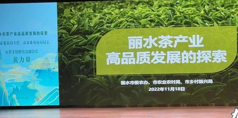 关于中国·丽水首届“三茶统筹 助力共富”活动在丽水举行的信息(11)