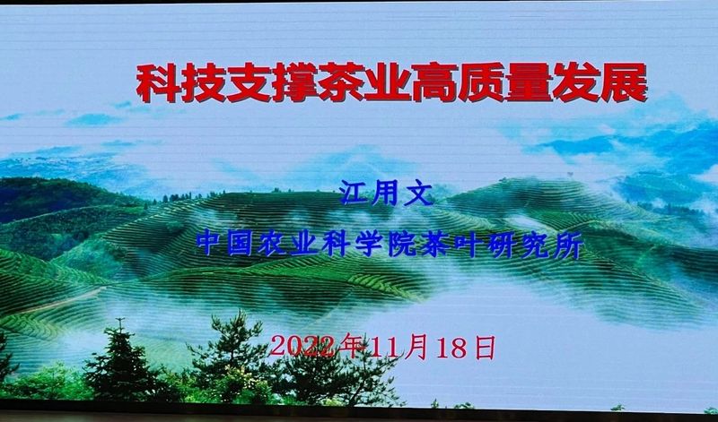 关于中国·丽水首届“三茶统筹 助力共富”活动在丽水举行的信息(17)