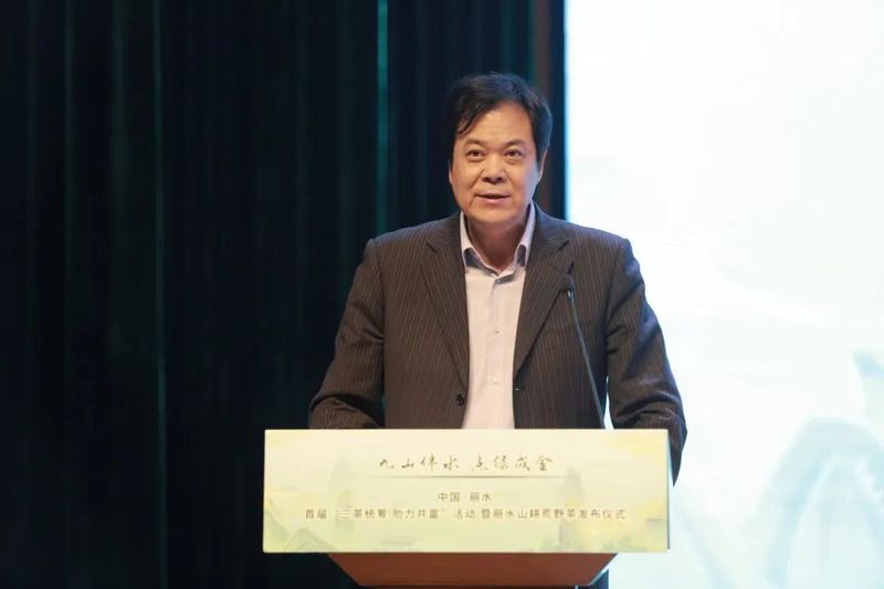 关于中国·丽水首届“三茶统筹 助力共富”活动在丽水举行的信息(4)