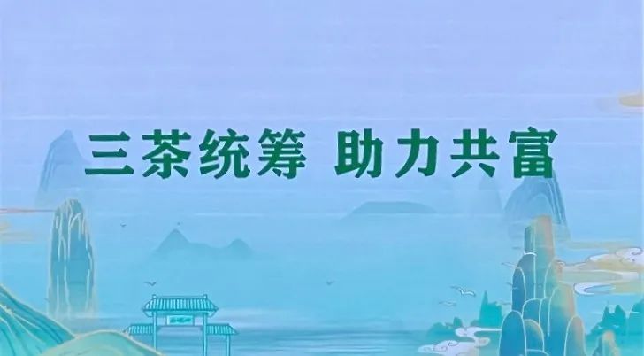 关于中国·丽水首届“三茶统筹 助力共富”活动在丽水举行的信息(1)