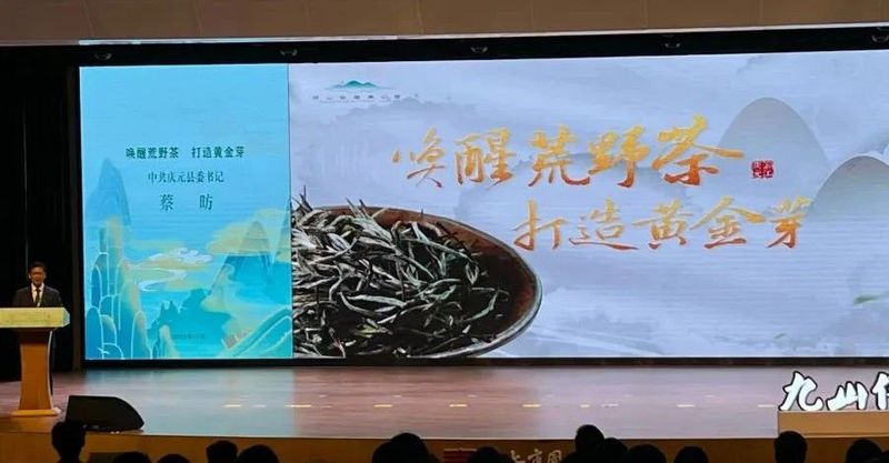 关于中国·丽水首届“三茶统筹 助力共富”活动在丽水举行的信息(13)
