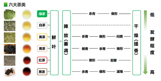 有关于推广蒙顶山茶文化:名山正大茶叶有限公司为名山区蒙顶山实验小学建科普实践茶园的资讯(2)