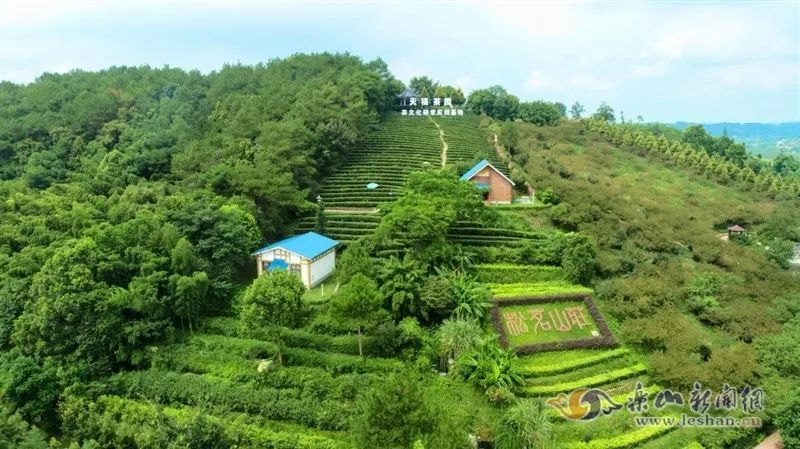 关于夹江首个茶叶海外仓落地乌兹别克斯坦的内容