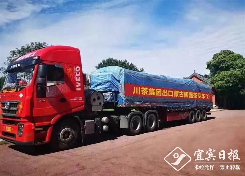 关于拓宽市场打响品牌 宜宾茶产业发展蹚新路的相关内容(3)