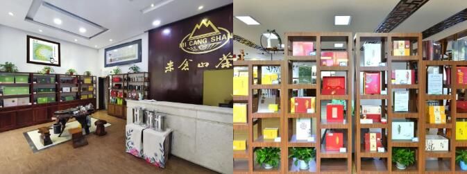 关于一分钟了解高山云雾中“走”出来的旺苍茶产业的新闻(1)