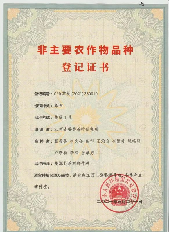 有关于国家级茶树新品种“婺绿1号”选育成功！的最新消息(3)