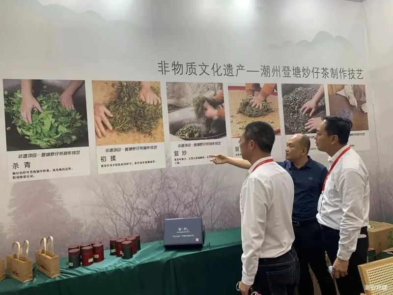 关于登塘镇：以茶兴农拓宽乡村振兴“致富路”的相关内容(2)