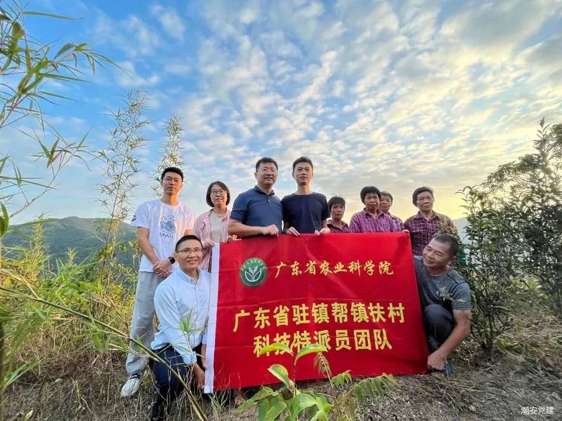 关于登塘镇：以茶兴农拓宽乡村振兴“致富路”的相关内容
