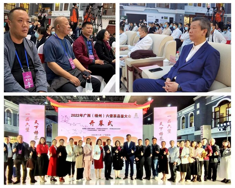 关于会长与刘仲华院士面对面探讨六堡茶仓储流通及发展的最新消息(2)