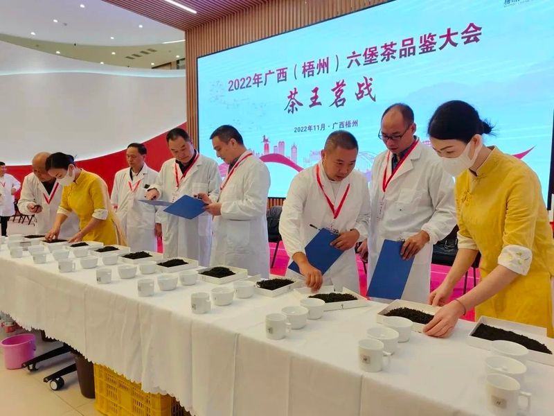 关于会长与刘仲华院士面对面探讨六堡茶仓储流通及发展的最新消息(3)