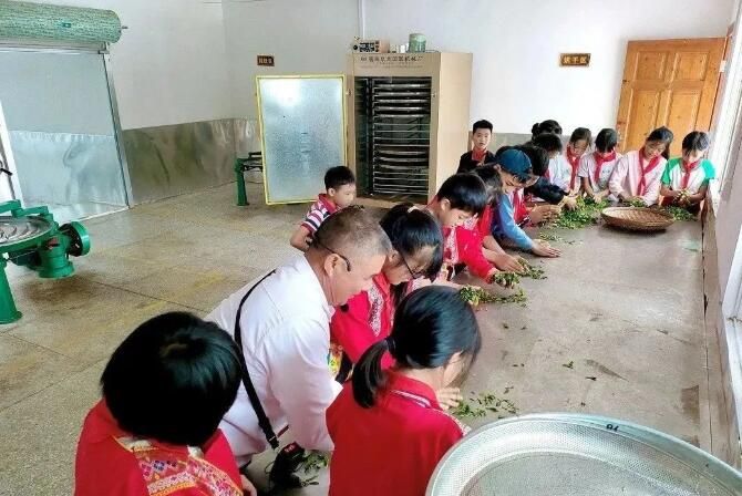 有关于广西蒙山县夏宜民族学校：“红领巾”进茶园 感受茶文化的相关内容(4)