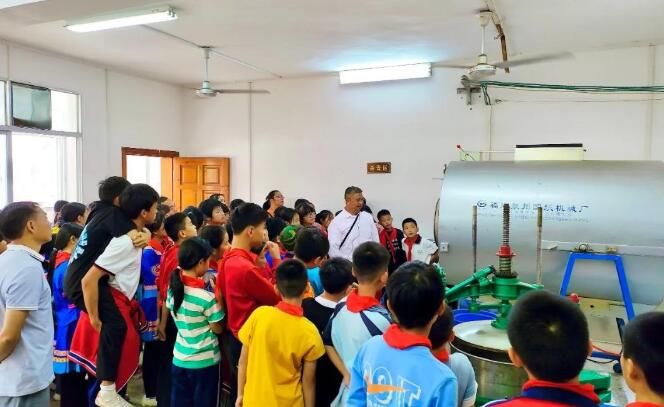 有关于广西蒙山县夏宜民族学校：“红领巾”进茶园 感受茶文化的相关内容(3)