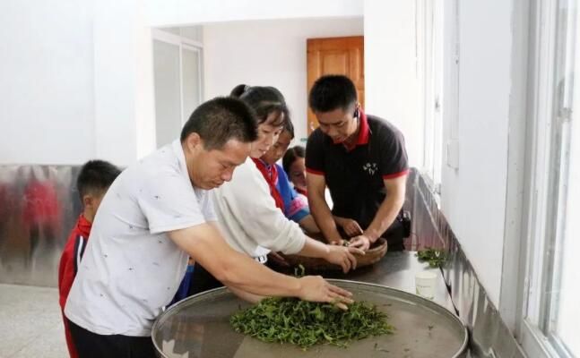 有关于广西蒙山县夏宜民族学校：“红领巾”进茶园 感受茶文化的相关内容(5)